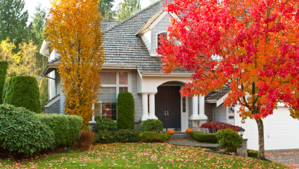 Home with beautiful Fall landscaping